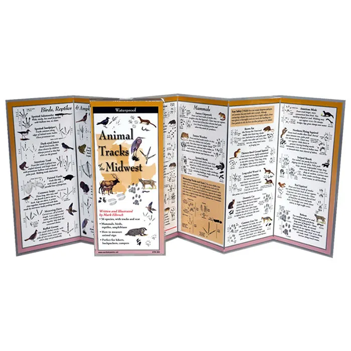 Animal Tracks of the Midwest Folding Guide