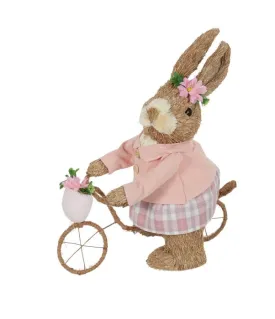 Betty Bunny on Bike